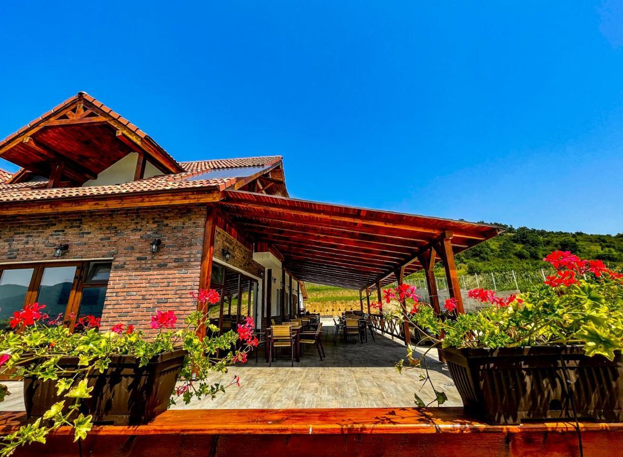 Pensiunea Balkan Gornea Exterior photo